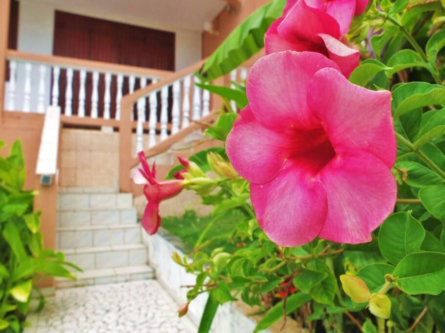 Sapotille Appartement Le Gosier (Grande-Terre)