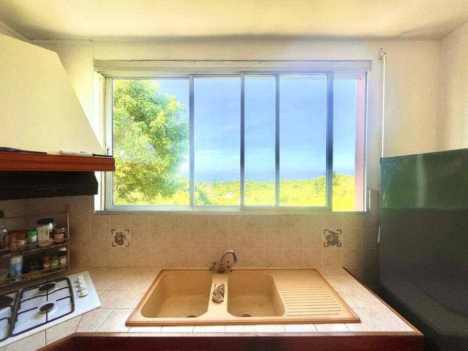 Appartement Sapotille