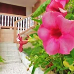 L\'Appartement Sapotille
