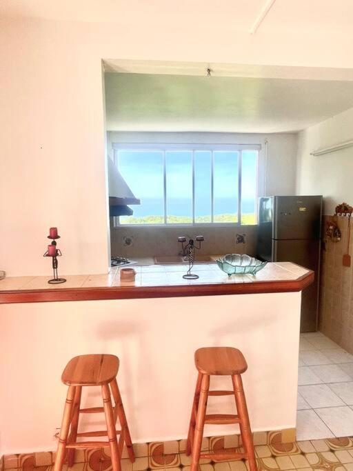 Apartment Sapotille